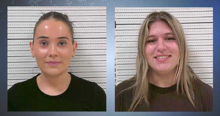 Two teens arrested on serious charges after home break
