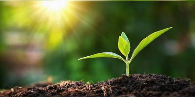 Tom Greene: The Power of Hope