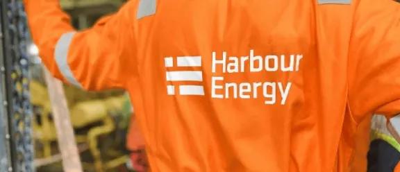Harbour Energy busca duplicar su producción en Vaca Muerta