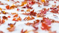 When signs of winter typically arrive where you live and how they’re changing