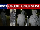 Suspected Detroit burglars in string of break