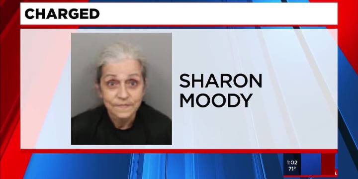 Woman charged after dead dogs found in Greenville Co.
