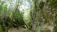 Los beneficios de las escapadas al campo: reducción del estrés y menos ansiedad