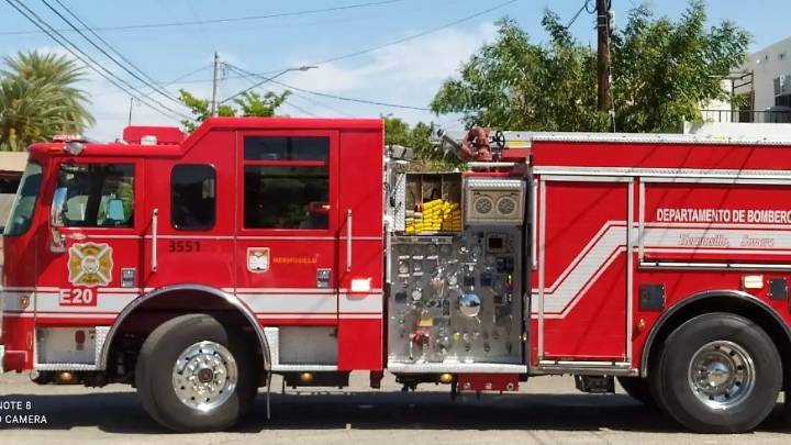 Bomberos de Hermosillo atienden más de 200 reportes de abejas en lo que va del 2025