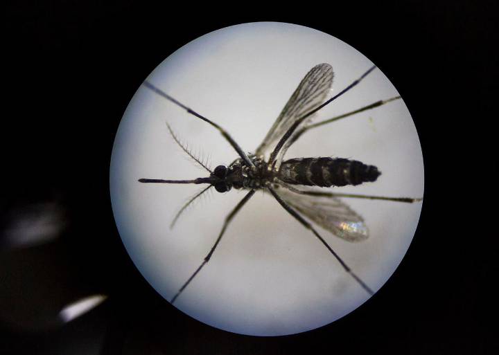 How Are Health Data Priced? Why Health Data Are Like Zika Prevention Programs