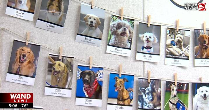 Dogs prescribing cuddles at new Paw Print Ministries hospital room