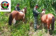 A “Manchas” lo robaron antes de la Feria del Búfalo y la GNB 61 lo recuperó el 16