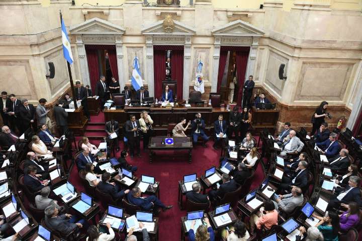 Emergencia en discapacidad: el Congreso define si hace caer el veto presidencial