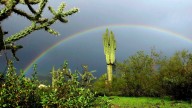 Chance of storms forecast for end of the week in Phoenix