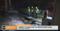 Roseville street closed due to water main leak