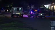 BSO investigates scene in West Park after neighbors hear gunshots