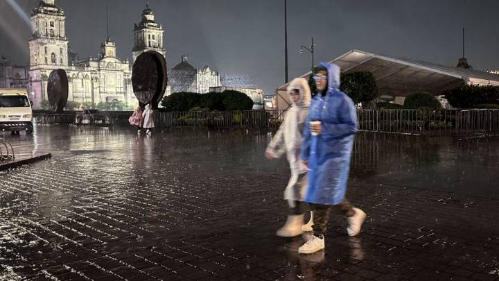 Lluvias CDMX, los estragos que dejó: 51 encharcamientos, 39 árboles caídos y 5 cortocircuitos