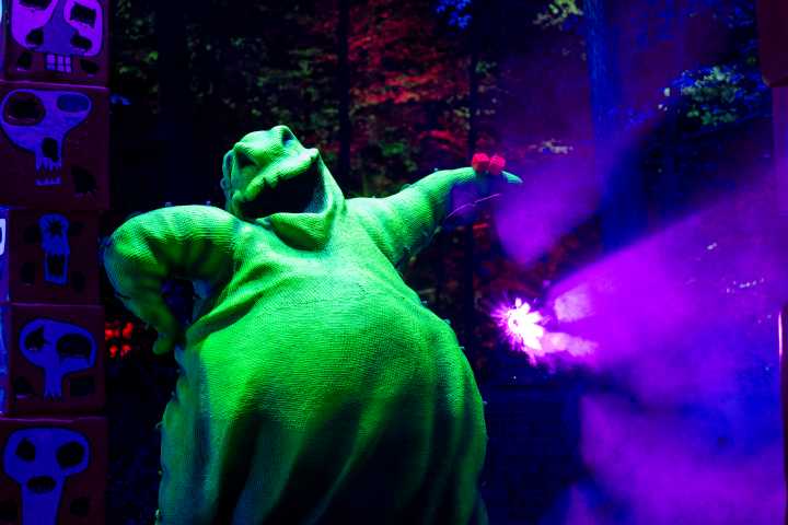 Disney “Tim Burton’s The Nightmare Before Christmas” Light Trail Opens At The New York Botanical Garden