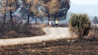 Un nuevo decreto obliga a los dueños de los montes de Castilla y León a planes de prevención de incendios