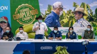 Fue socializado el programa para el establecimiento de 150 hectáreas de Plátano variedad hartón