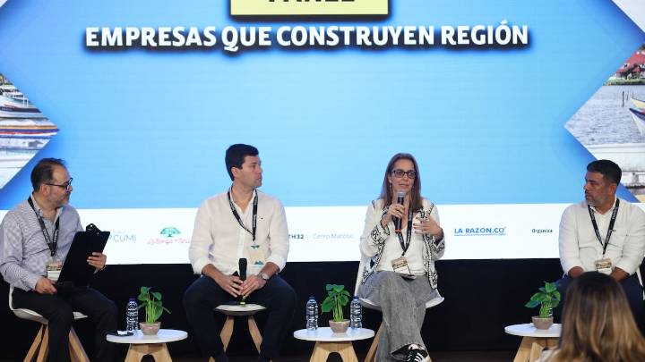Ferroníquel, uno de los minerales más importantes de la industria extractiva en Montería: desafíos más fuertes