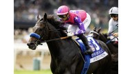 Johannes stays perfect at Santa Anita with win in City of Hope Mile