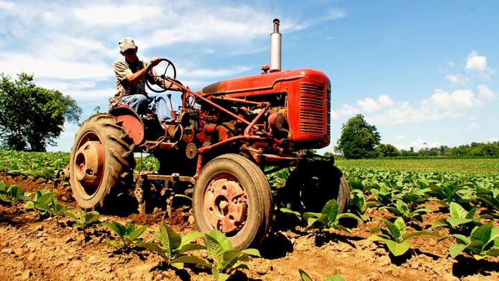 Trump repartirá los ingresos de sus aranceles a los agricultores de EU