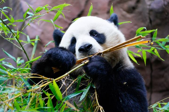 Kids get in free to many San Diego attractions in October