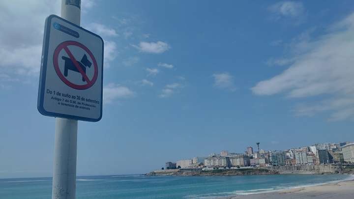 Usuarios de la cala de San Roque en A Coruña critican el plan para convertirla en área canina: "Una ocurrencia"