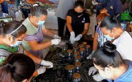 Organiza la UAAAN talleres gratuitos para fomentar, en un ambiente familiar, el cuidado del medio ambiente