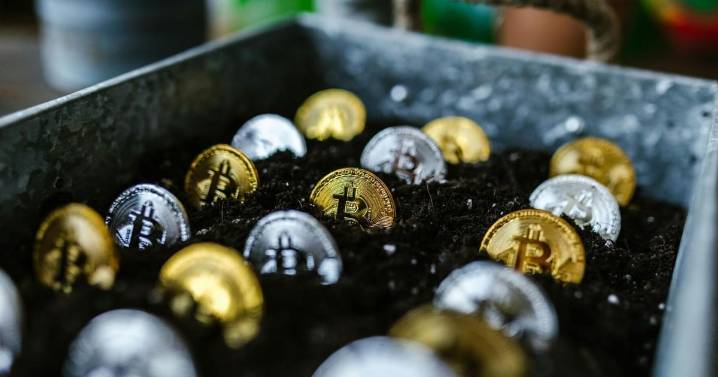 How a Crypto Lending Platform Can Maximize Wealth Without Selling Your Assets