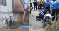 Joven jardinero pierde la vida al podar árbol cerca de cables de alta tensión en Surco