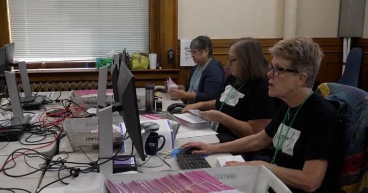 Meet the election volunteers who help make elections happen