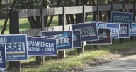 Albemarle Democrats hold picnic before election season