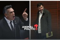 “Es un nuevo golpeteo”: morenistas y oposición reaccionan a amparos en favor de los hijos de AMLO