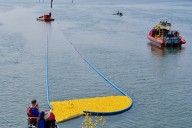 Ducktona 5000 draws crowd to Crescent Beach