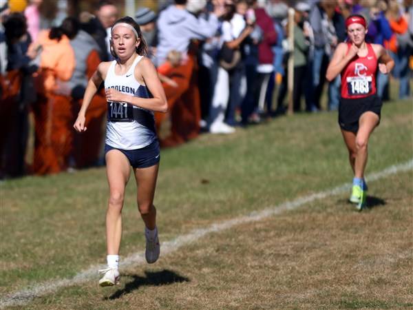 Big goal drives Napoleon cross country's Huddle to work harder