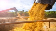 Qué impacto tuvo la eliminación de las retenciones en las góndolas
