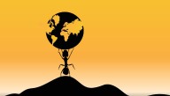 Ants Have Taken Over Most Of The World – Except For A Few Places
