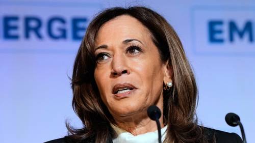 Kamala Harris getting LA police protection, source says