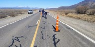Trágica muerte en Neuquén: atropellaron y mataron a una mujer en la ruta 237 mientras hacía dedo