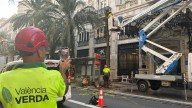Talen palmeres en el carrer en el centre de València per risc de caiguda