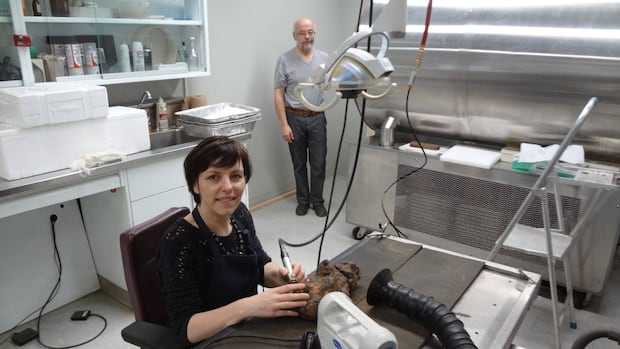 Quebec couple killed in Lisbon funicular crash remembered for archaeological legacy