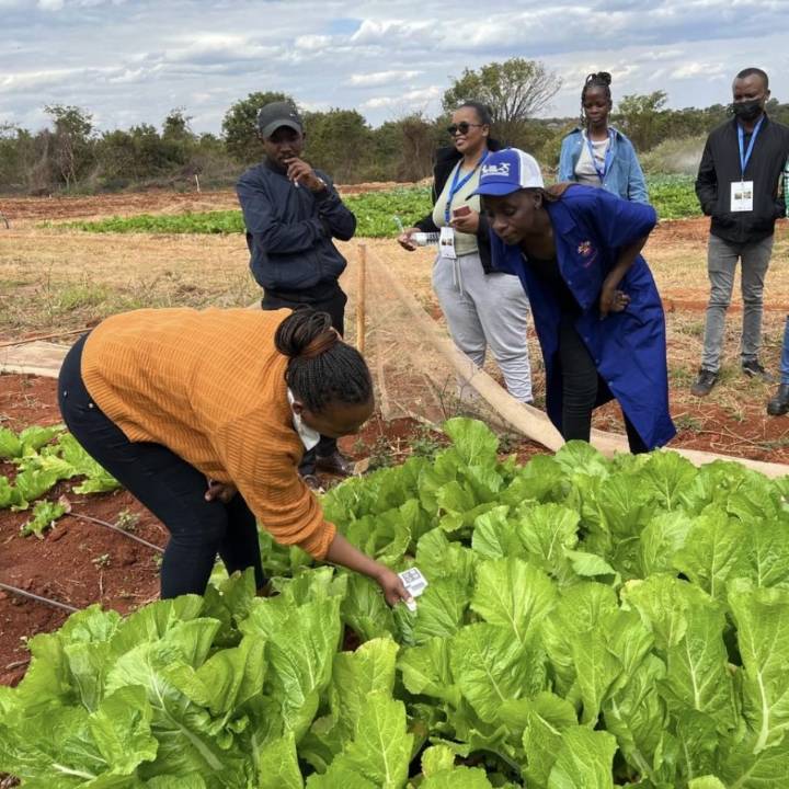 Get it to grow: FIU shares agricultural knowledge with farmers in South Africa