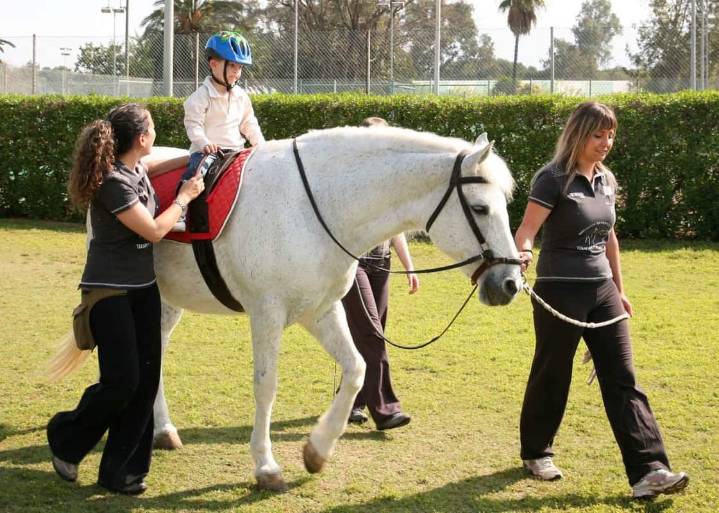 Equinoterapia, una terapia alternativa que transforma vidas