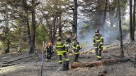 Brush fire near I-5 in Seattle cause