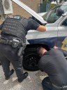 Cat rescued from engine of Pinellas Park police car
