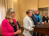 As ICE surges in Mass., top Dems offer condemnation, but stop short of action
