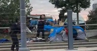 Video of Kitchener takedown ‘misleading,’ police say