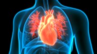 Novartis’s $1.4B Tourmaline Acquisition Brings Heart Drug That Could Rival Novo Nordisk, CSL Meds