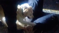Llevaba 1 kilo de marihuana: un tucumano fue detenido por Gendarmería en Catamarca