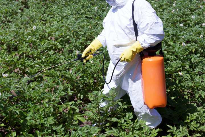 Hoy se publicará decreto para prohibir 35 plaguicidas altamente peligrosos: Berdegué