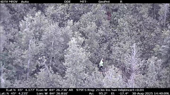 California woman competing in YouTube survival contest rescued after 18 hours lost in Otsego County forest