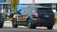 Police arrest woman for $30K jewelry theft in Garden City