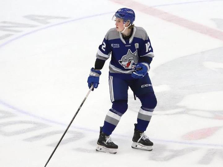 Sudbury Wolves trade Noah Roberts to Owen Sound, set OA group at three